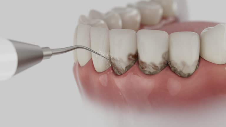 Reliable Dental contractor in Sugarland Run, VA by Dentist Open Now